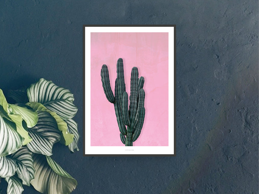 Print / Kaktus No. 1