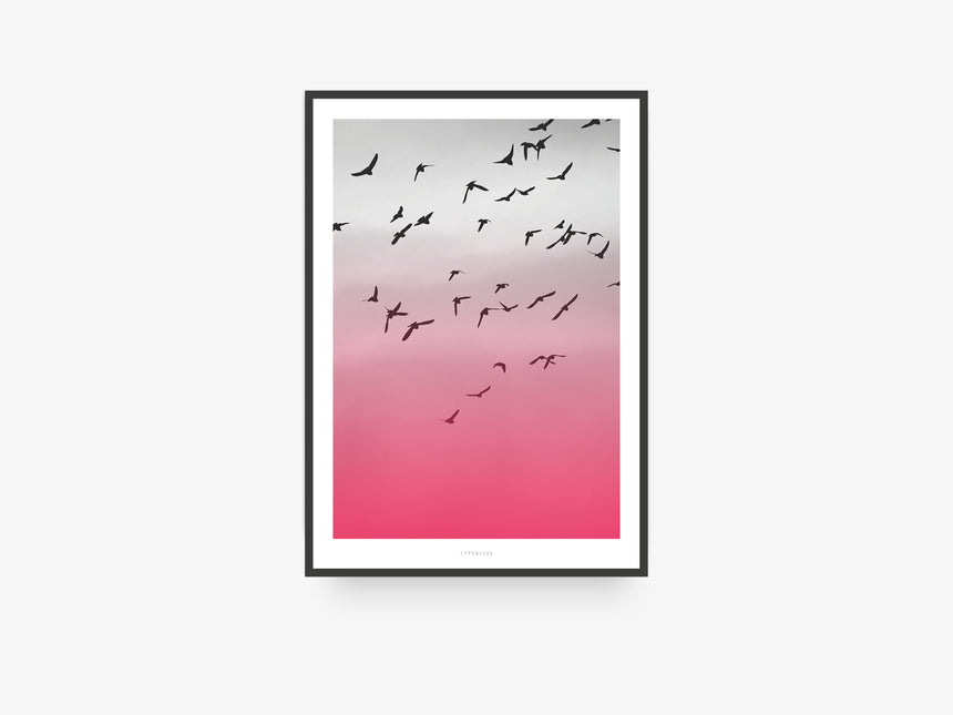 Print / Birds No. 2