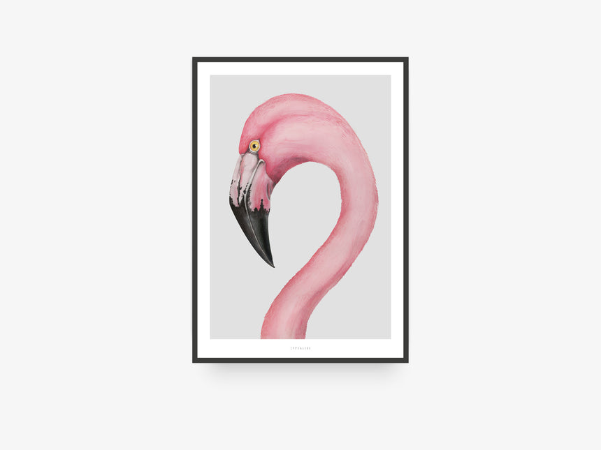 Print / Flamingo