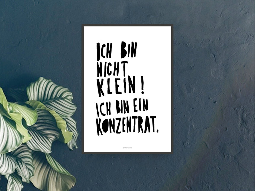 Print / Konzentrat