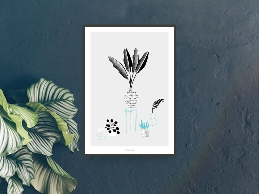 Print / The Plants