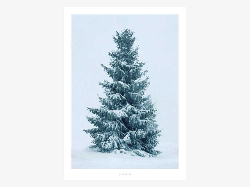 Print / Schneetanne No. 2