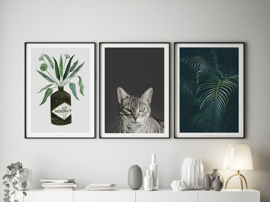 Print / Skeptical Cat