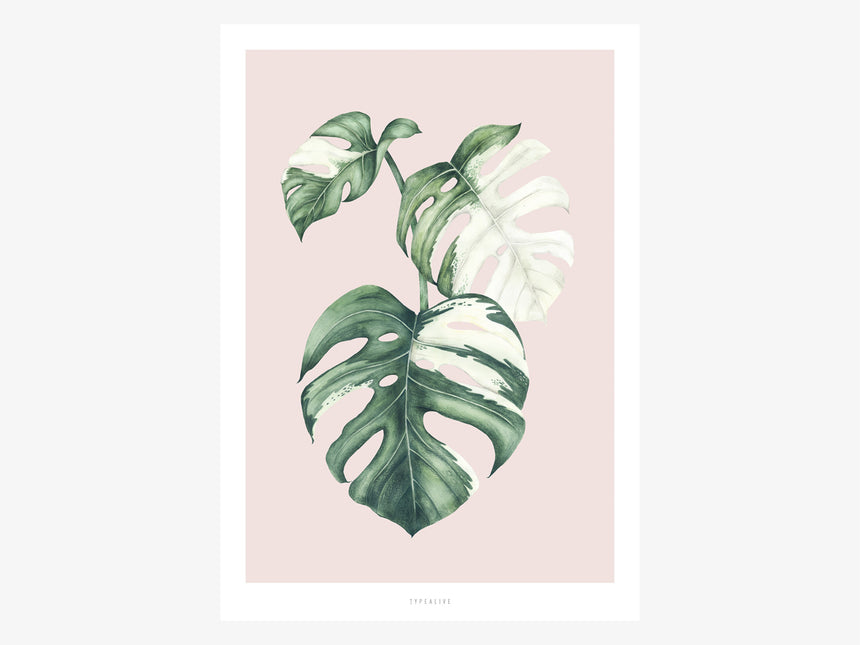 Print / Tropical No. 4