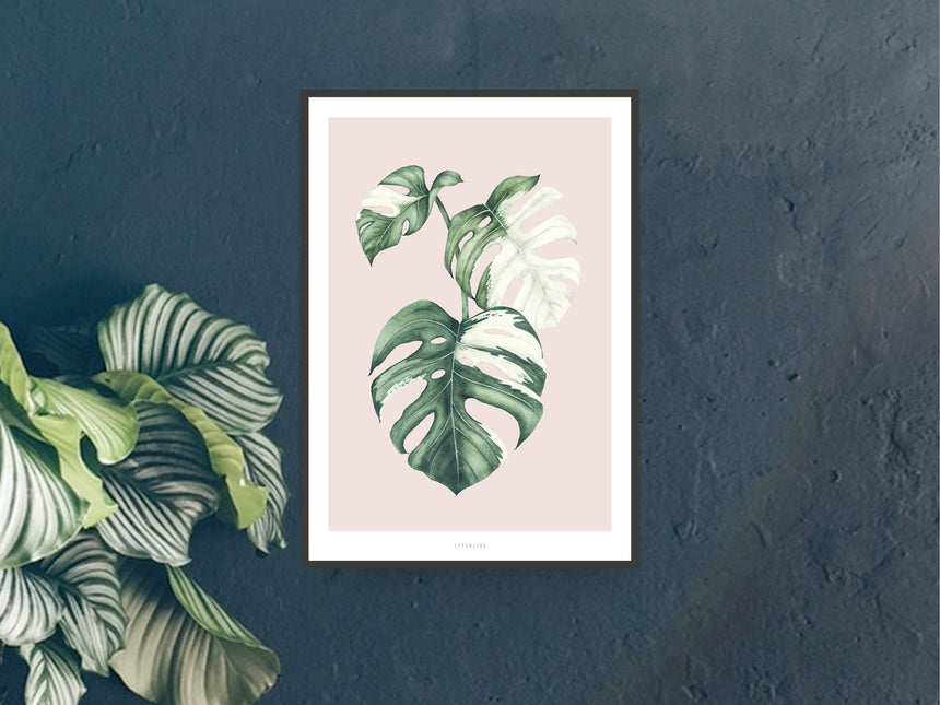 Print / Tropical No. 4