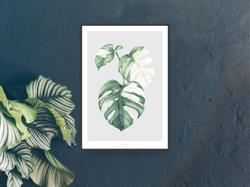 Print / Tropical No. 5