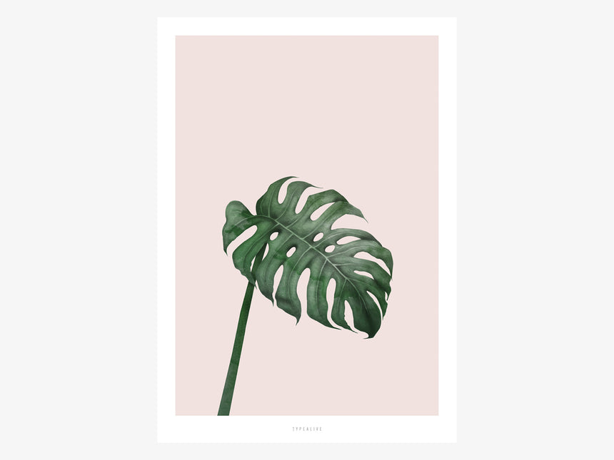 Print / Tropical No. 7