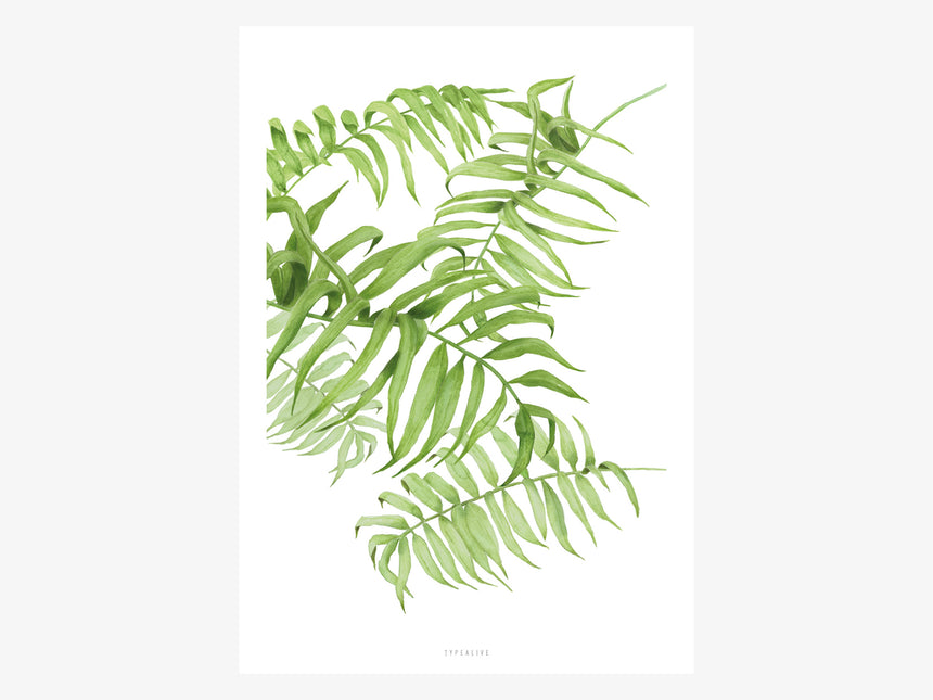 Print / Tropical No. 1