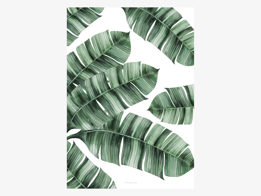 Print / Tropical No. 8