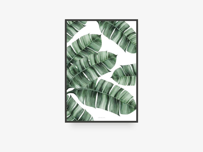 Print / Tropical No. 8th