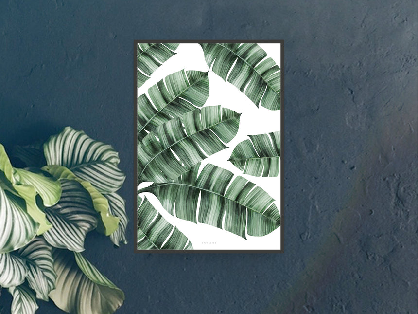 Print / Tropical No. 8th