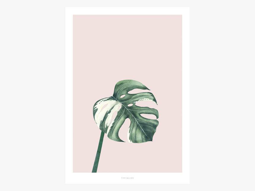 Print / Tropical No. 11