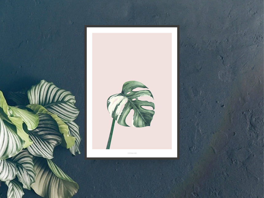 Print / Tropical No. 11