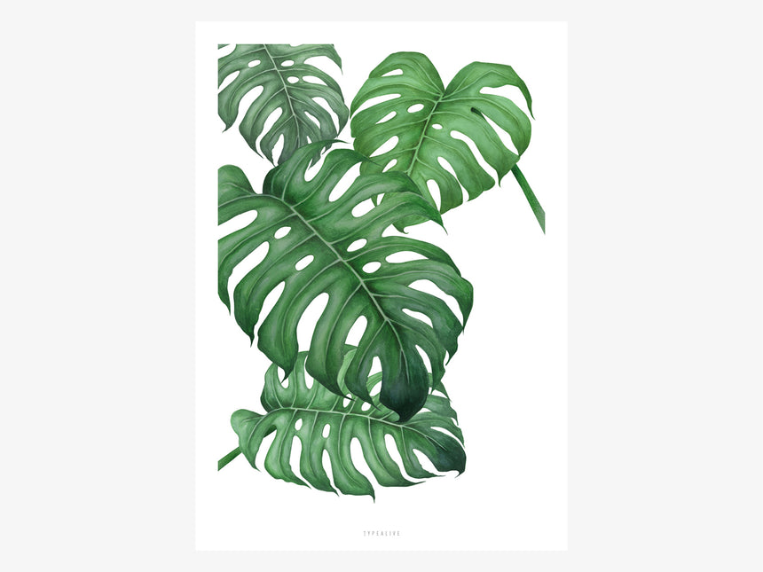 Print / Tropical No. 2