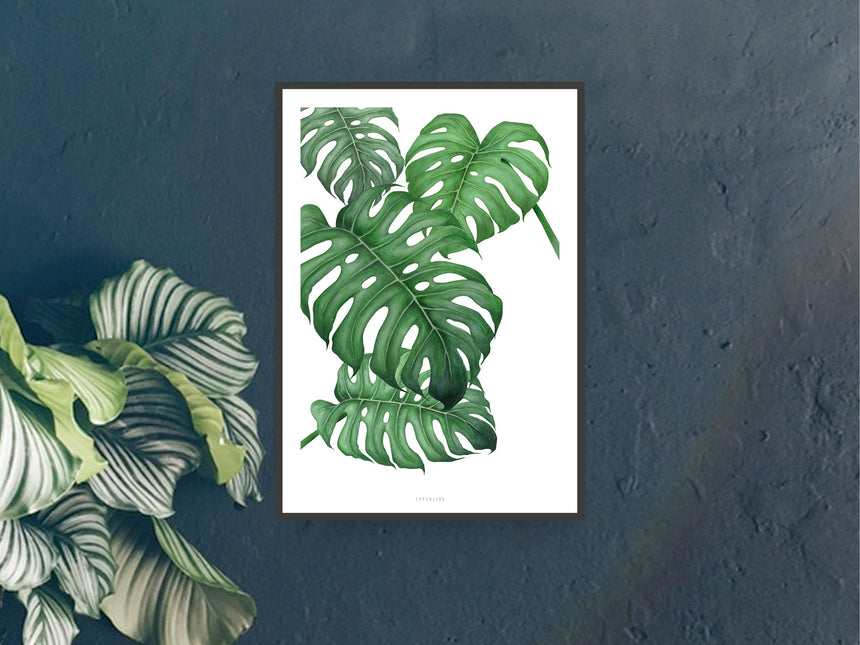 Print / Tropical No. 2