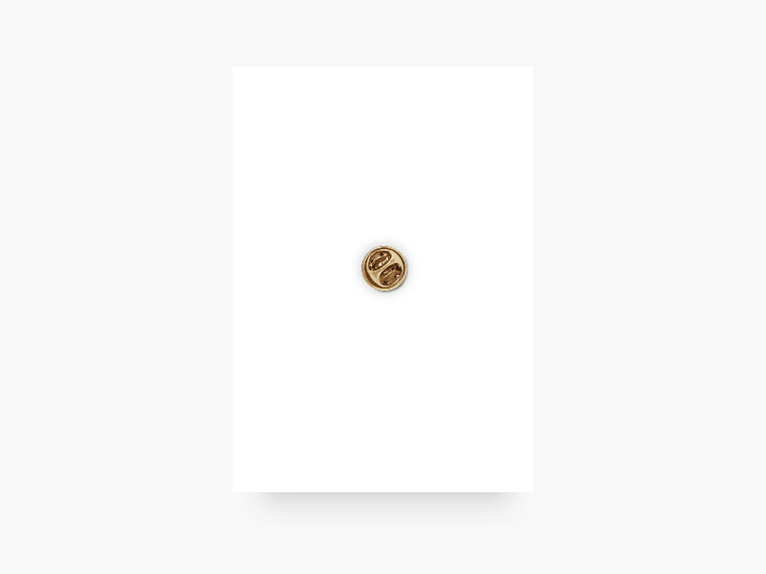 Pin / Electrifying