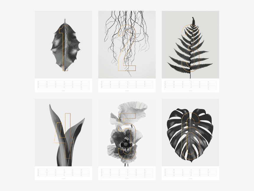 Wandkalender / Plants