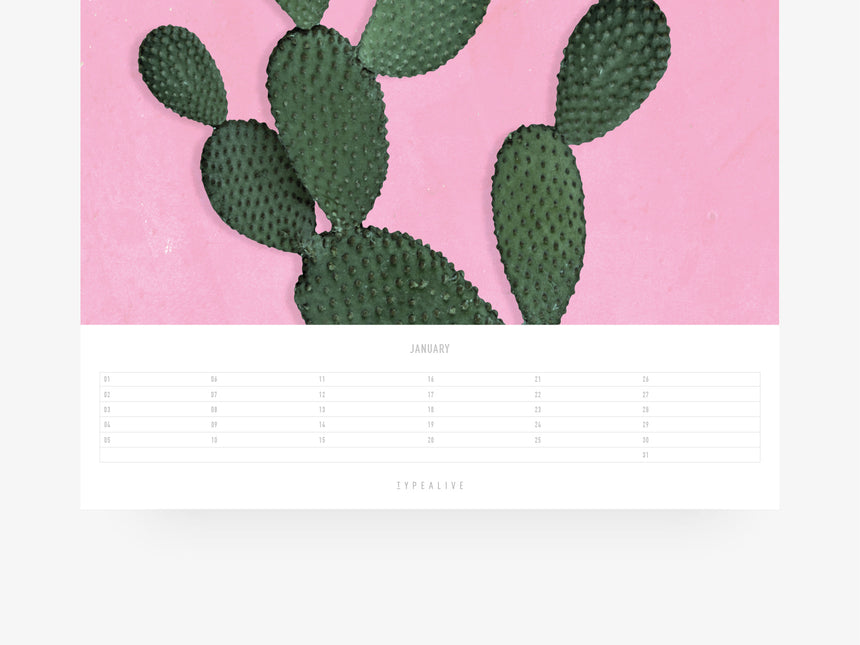 Wandkalender / Tropical