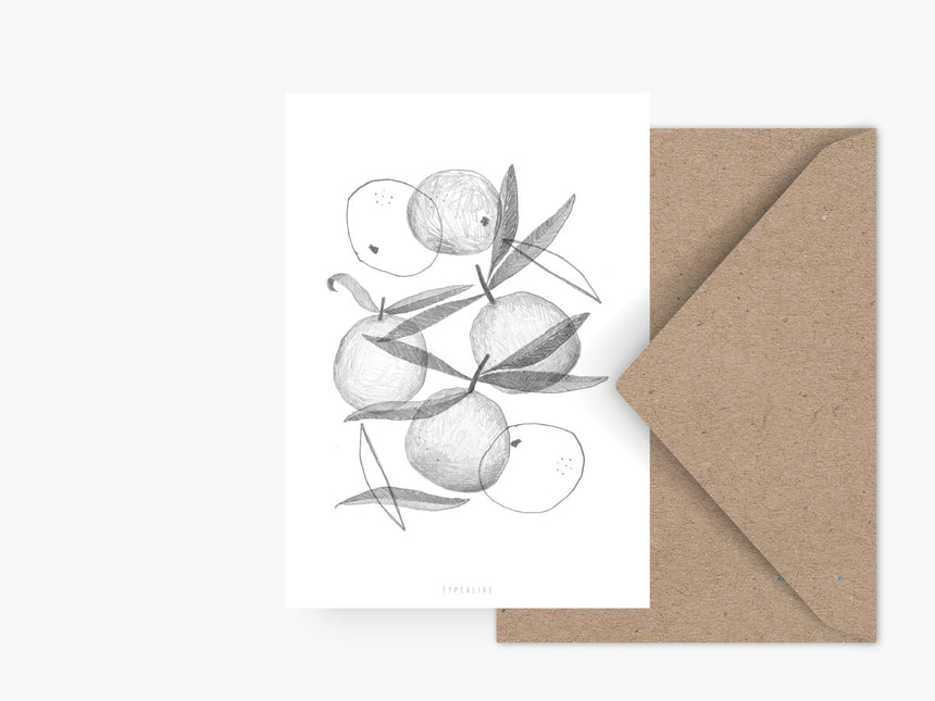 Postkarte / Clementines