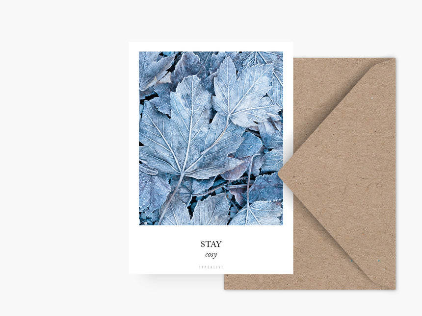 Postkarte / Frozen Plants No. 2