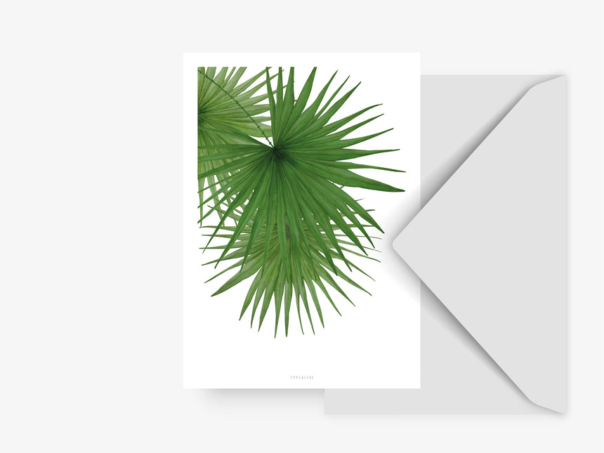 Postkarte / Tropical No. 3