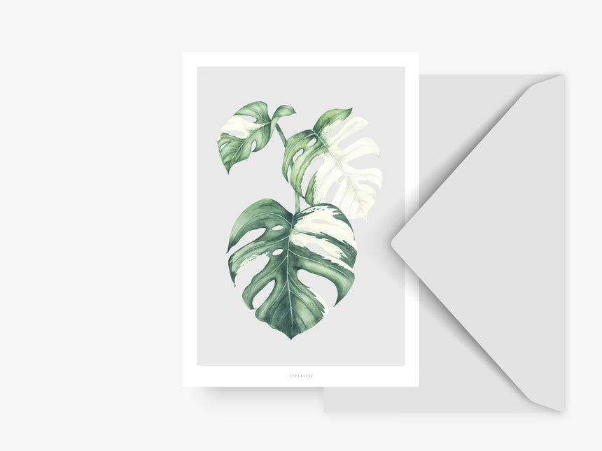 Postkarte / Tropical No. 5