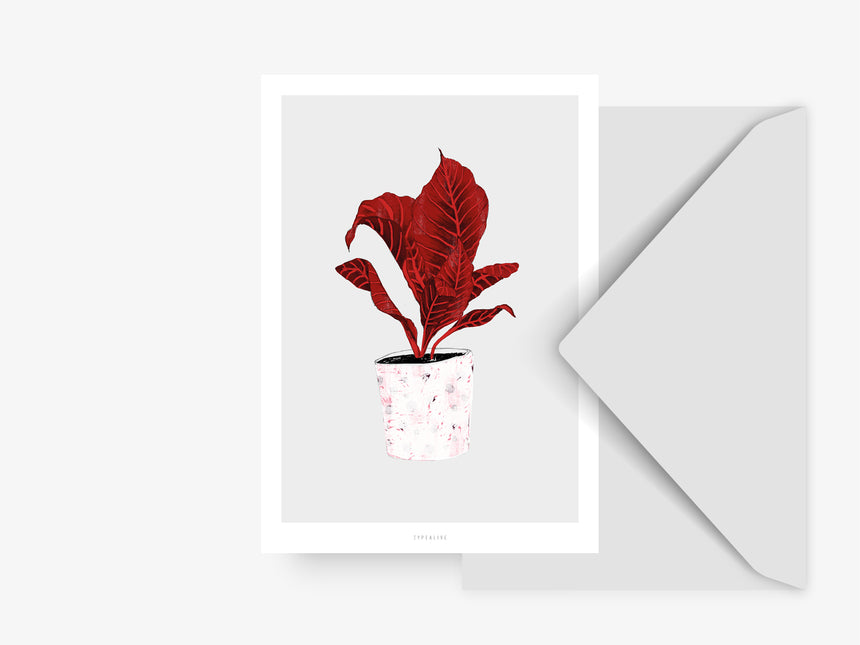 Postkarte / Wallplant No. 1