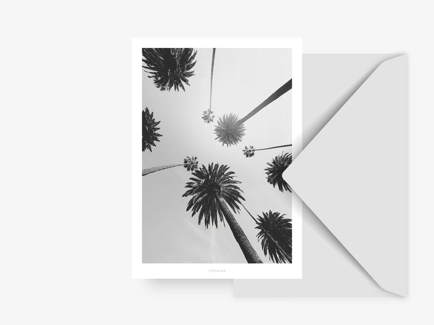 Postkarte / All About Palms No. 7