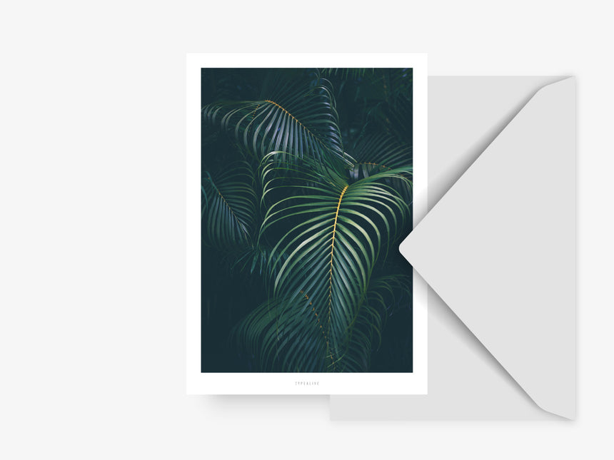 Postkarte / Junglelow No. 6