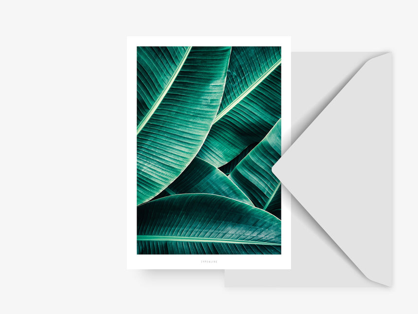 Postkarte / Junglelow No. 7