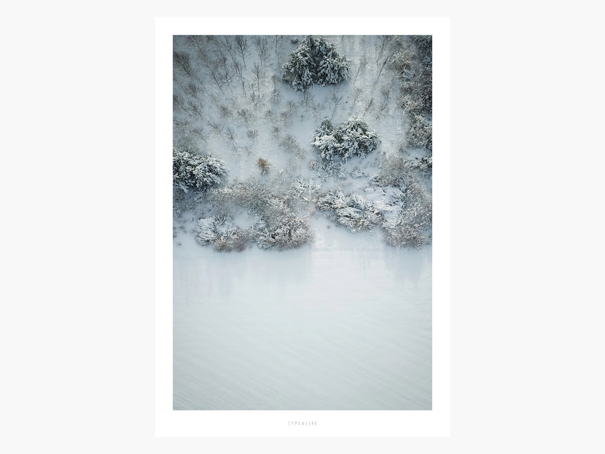 Print / Above The Woods No. 7