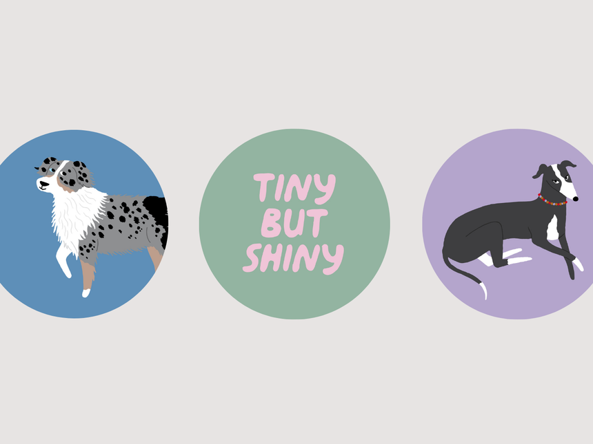 Stickerbogen No. 5 "Petisfaction"