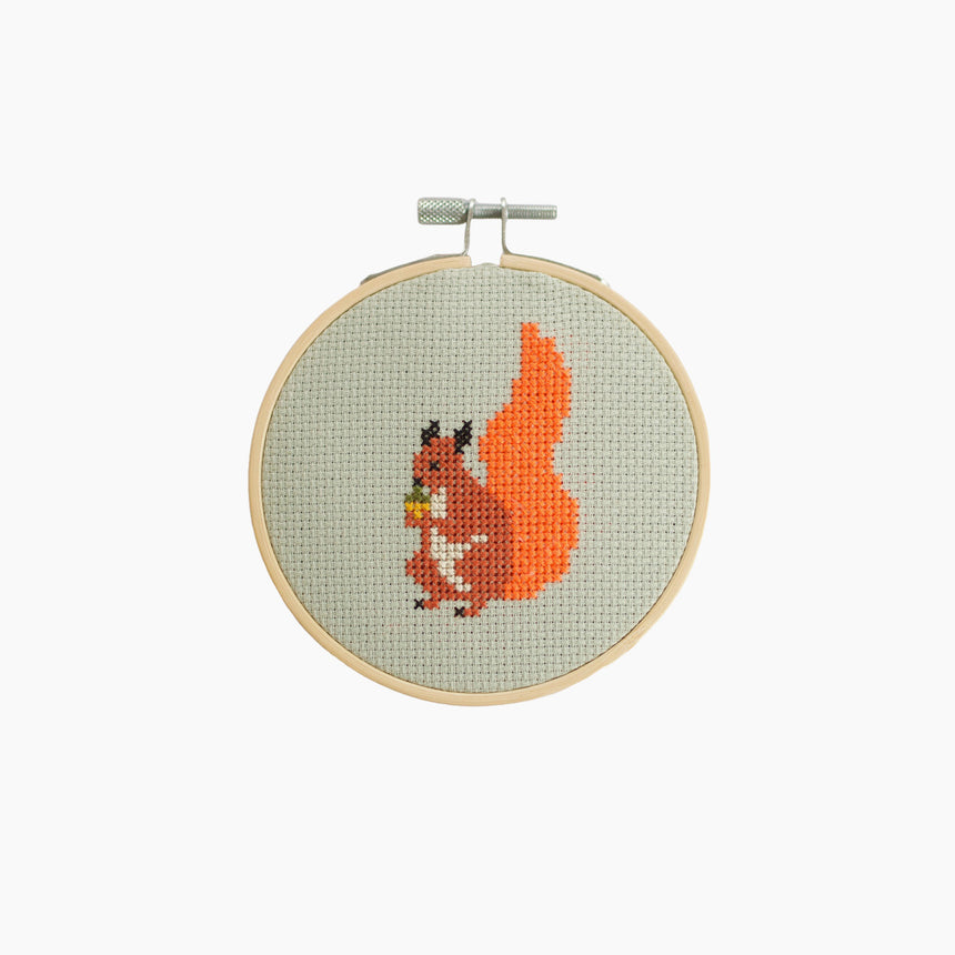 Cotton Clara - Mini embroidery kit "Squirrel"