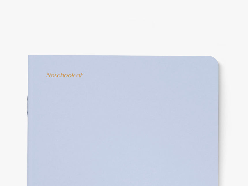 Notebook / Terrible Ideas