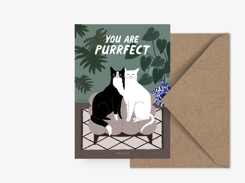 Postkarte / Petisfaction "Cats" You Are Purrfect