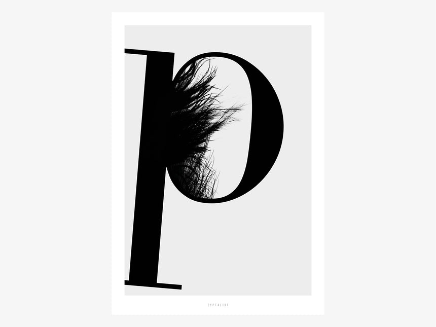 Print / ABC Flying Letters - P