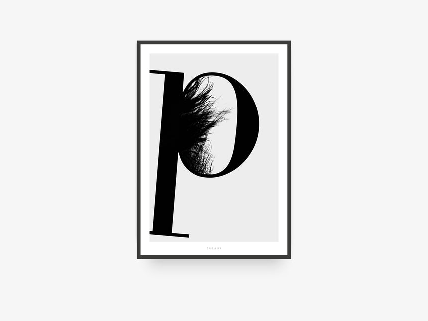 Print / ABC Flying Letters - P