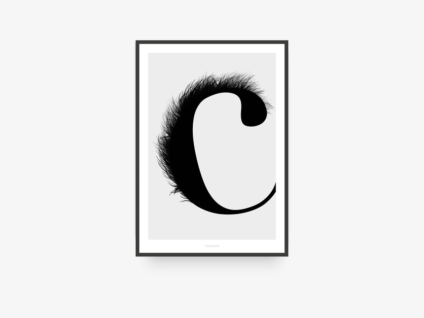Print / ABC Flying Letters - C