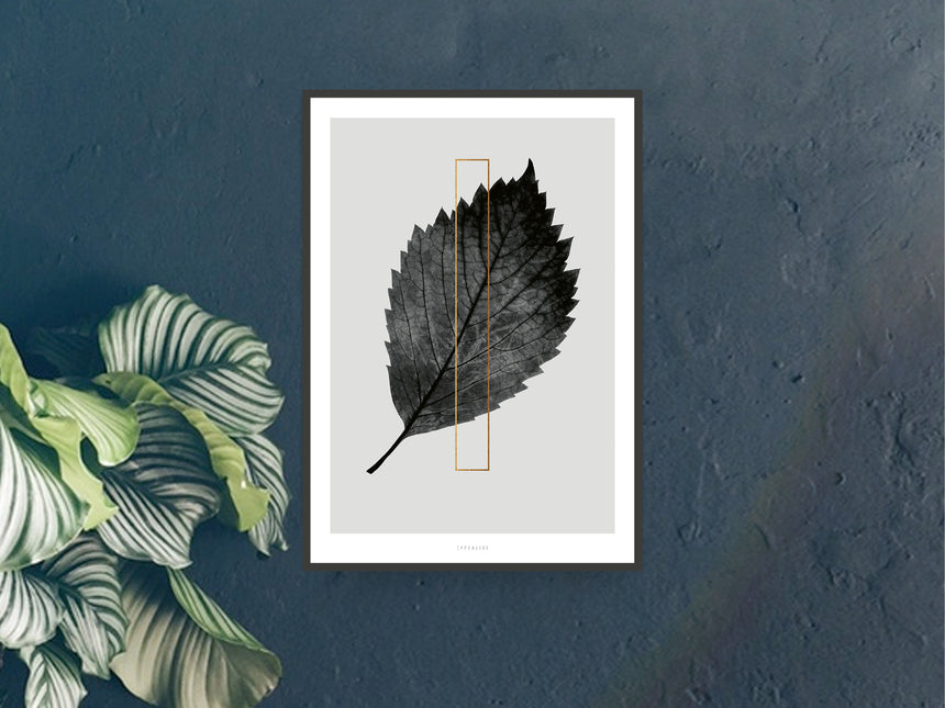 Print / ABC Plants - I