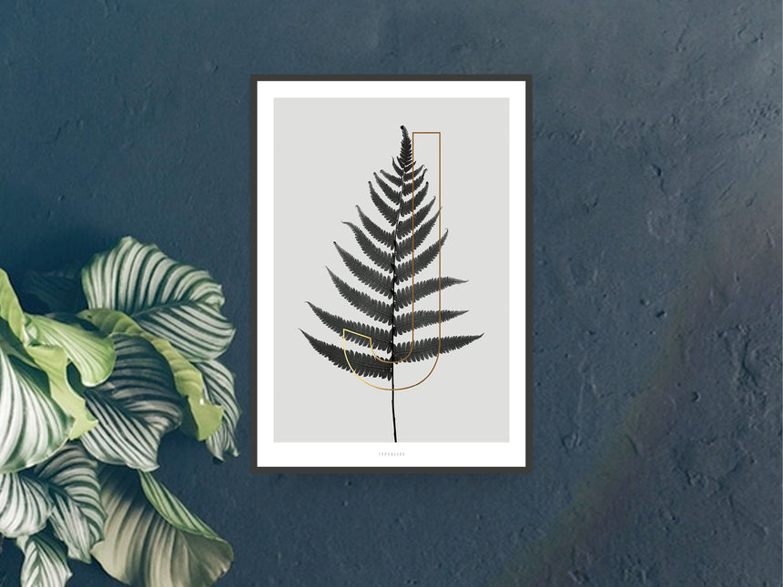 Print / ABC Plants - J