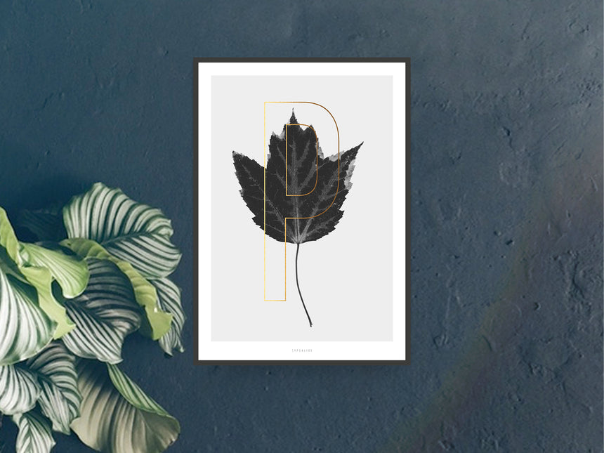 Print / ABC Plants - P