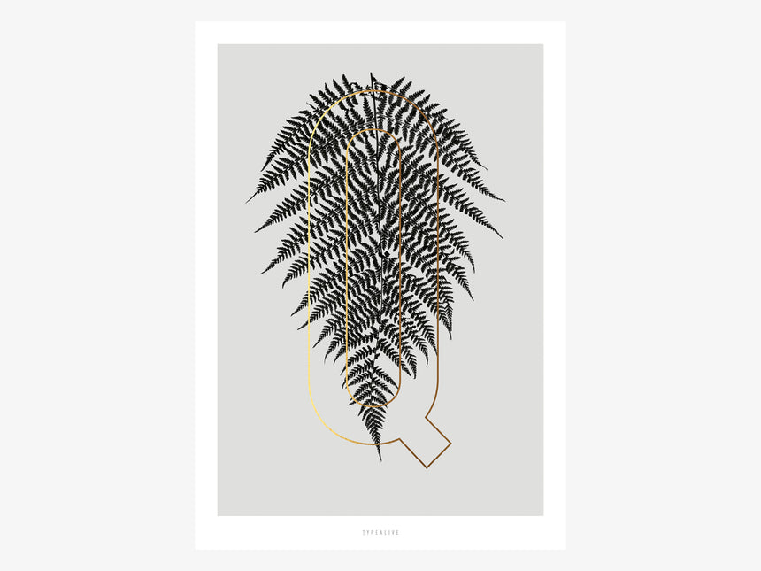 Print / ABC Plants - Q