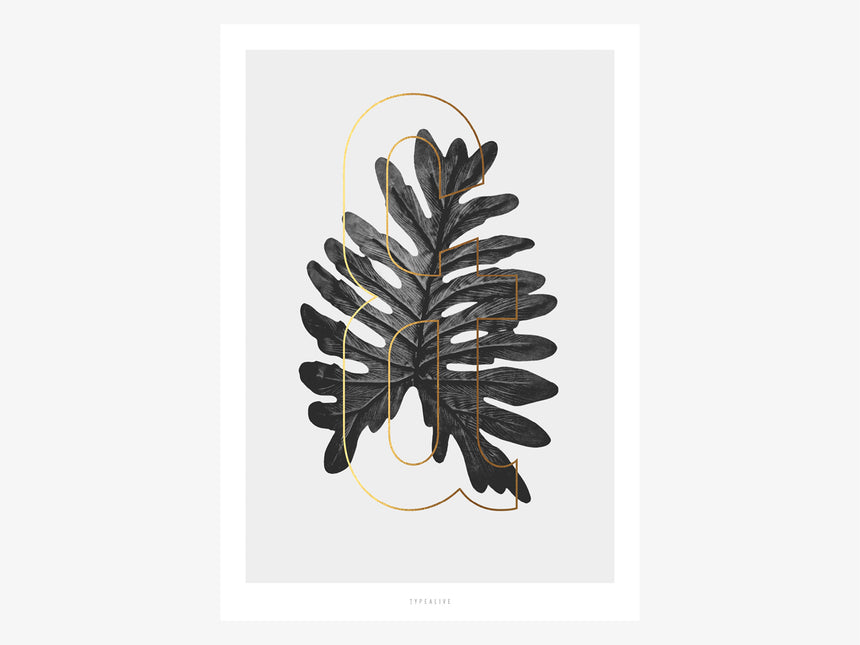Print / ABC Plants - &