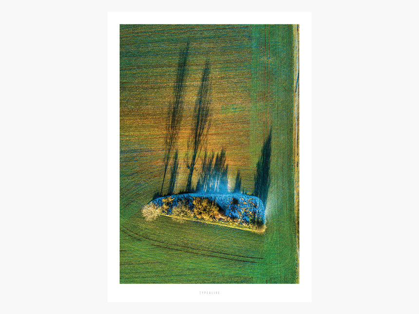 Print / Above The Fields No. 2
