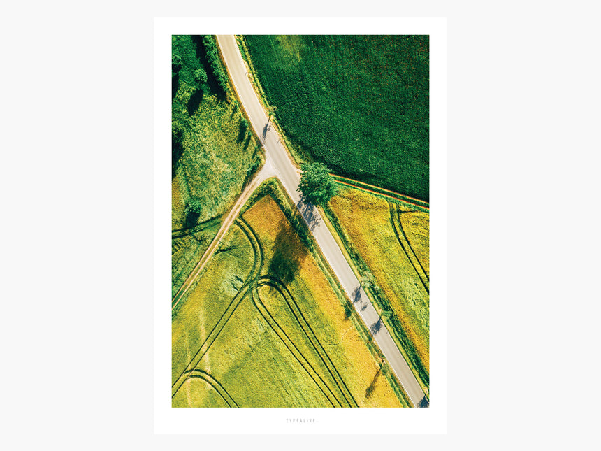 Print / Above The Roads No. 5