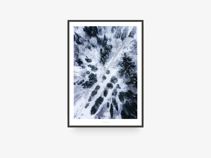 Print / Above The Woods No. 1