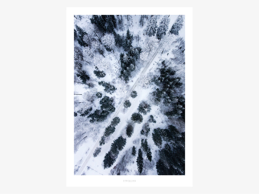 Print / Above The Woods No. 1
