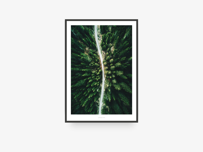 Print / Above The Woods No. 3