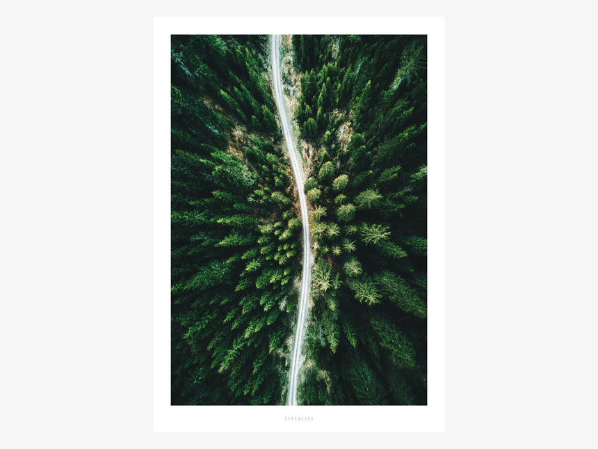 Print / Above The Woods No. 3