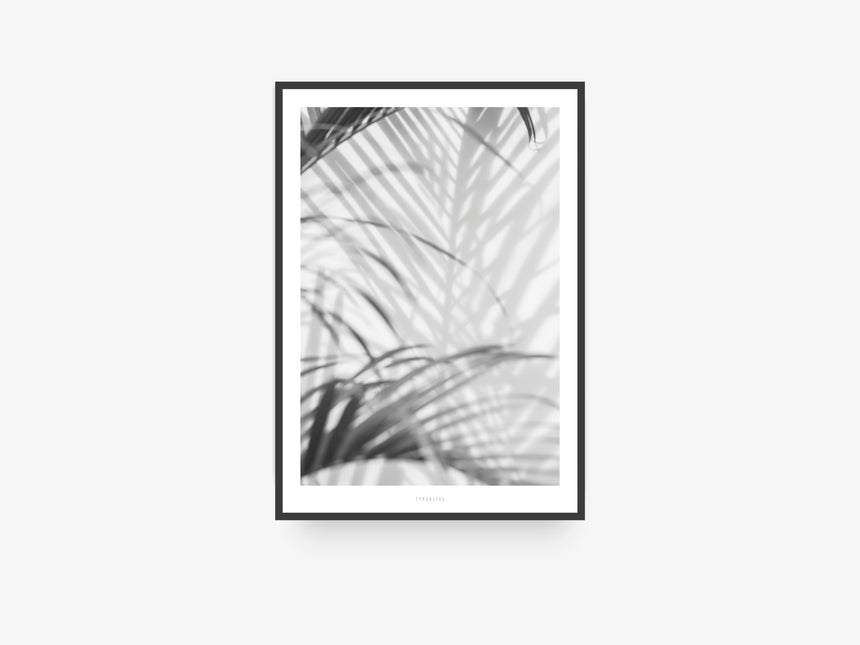 Print / All About Palms No. 2